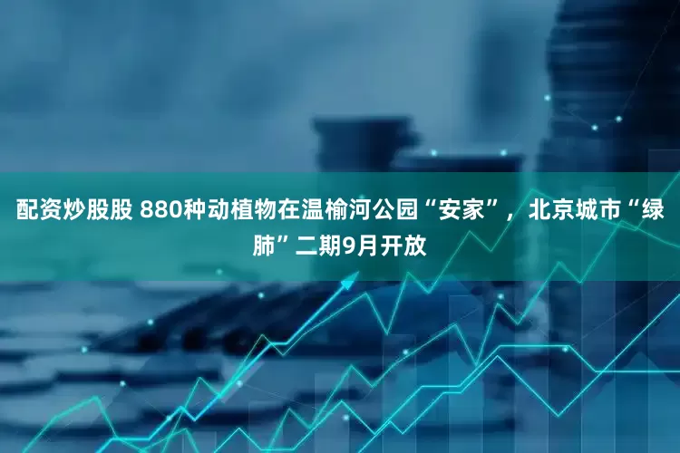 配资炒股股 880种动植物在温榆河公园“安家”，北京城市“绿肺”二期9月开放