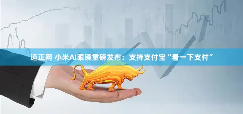 道正网 小米AI眼镜重磅发布：支持支付宝“看一下支付”