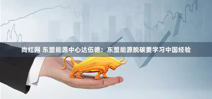尚红网 东盟能源中心达伍德：东盟能源脱碳要学习中国经验