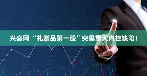 兴盛网 “礼赠品第一股”突曝重大内控缺陷！