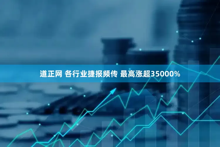 道正网 各行业捷报频传 最高涨超35000%