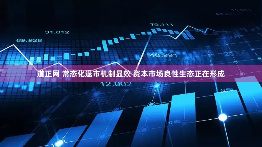 道正网 常态化退市机制显效 资本市场良性生态正在形成