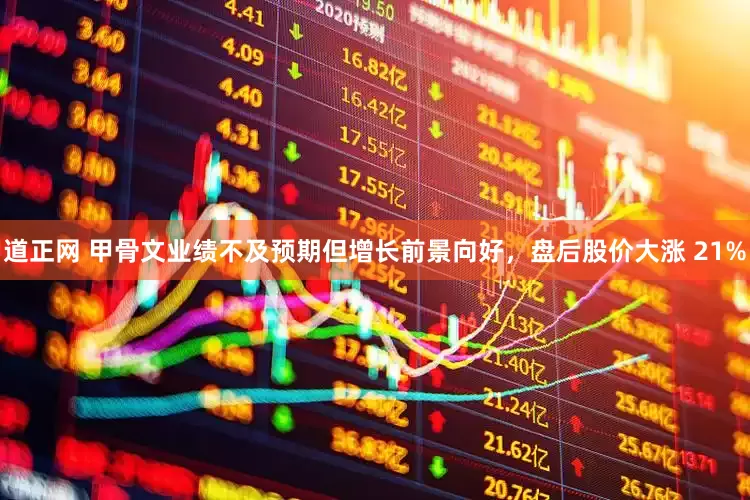 道正网 甲骨文业绩不及预期但增长前景向好，盘后股价大涨 21%