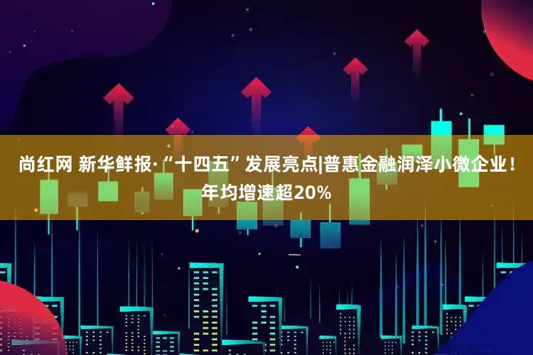 尚红网 新华鲜报·“十四五”发展亮点|普惠金融润泽小微企业！年均增速超20%