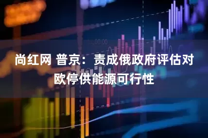 尚红网 普京：责成俄政府评估对欧停供能源可行性