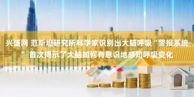 兴盛网 范斯坦研究所科学家识别出大脑呼吸“警报系统” 首次揭示了大脑如何有意识地感知呼吸变化
